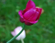 DSC_5707.2.webp