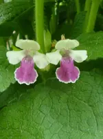 DSC02926.webp