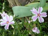 DSC02924.webp