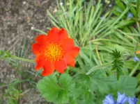DSC02932.webp