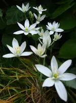 DSC02961.webp