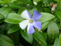 DSC03041.webp