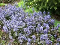DSC03019.webp