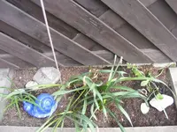 Carportbeet.webp