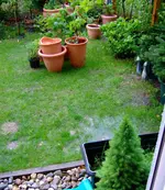 DSCF8101.2.webp