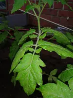 20130521_185408.webp