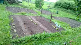 WP_20130521_004[1].webp