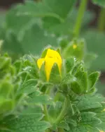 073.webp