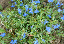 DSCN0436.webp