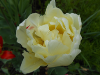 DSCN0447.webp
