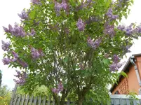 DSCN0448.webp