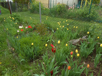 DSCN0449.webp