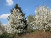083.webp