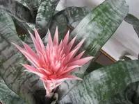 028.webp