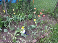 20130519_174144.webp