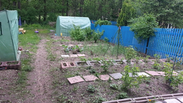 20130519_174217.webp