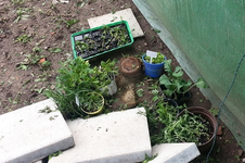 20130519_174306.webp