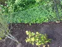 Bild 143.webp