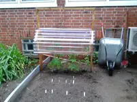 Tomaten 2013-05-22.webp
