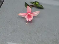 012.webp