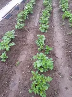 20130522_111832_resized.webp