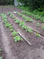 20130522_111828_resized_1.webp
