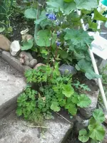 2013-05-19 13.03.44.webp