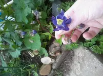 2013-05-19 13.04.02.webp