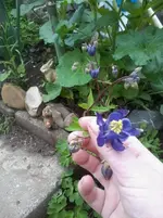 2013-05-19 13.04.02.webp