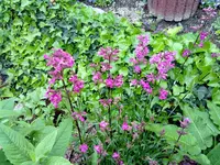 220520131158.webp