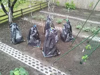 IMG-20130522-WA0001.webp