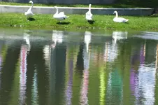 2013_0514Frühling0074.webp