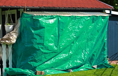 abgehängte Tomis aufgrund von Kälte_640.webp