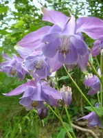 DSC03044.webp
