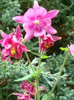 DSC03062.webp