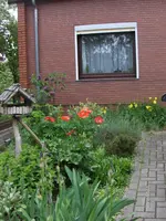 HPIM9593.webp