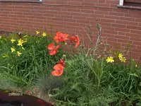 HPIM9594.webp