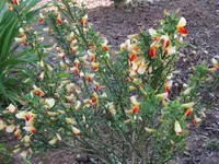 IMG_0288_640x480.webp