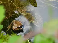 DSCN6268.webp