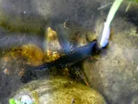 DSCN6304.webp