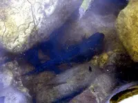 DSCN6316.webp