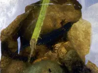 DSCN6317.webp