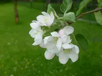 P1060011.webp