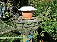 Copy of IMG_0108v.webp