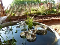 P1020811 (2).webp