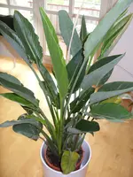 SDC15399.webp