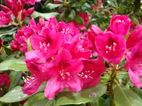 DSC03023.webp