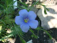 DSC03056.webp