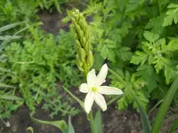 DSCN2070.webp