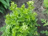 DSCN2080.webp